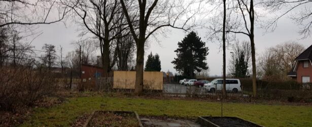 Schulgarten vorher…