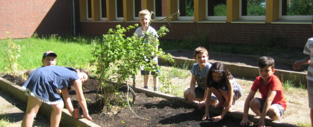 Unsere Schülerinnen und Schüler bei der Schulgartenarbeit
