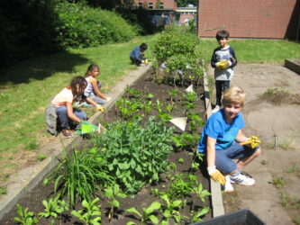 Garten Cranz 2018 (33)Klasse 2 SC