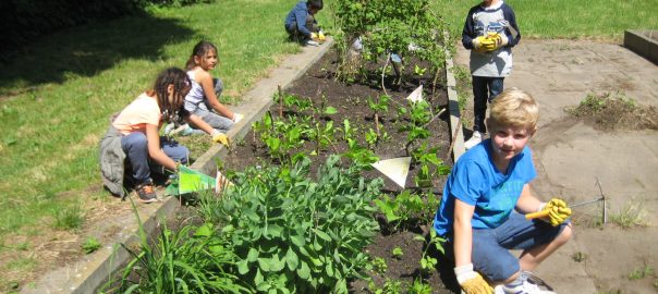 Garten Cranz 2018 (33)Klasse 2 SC